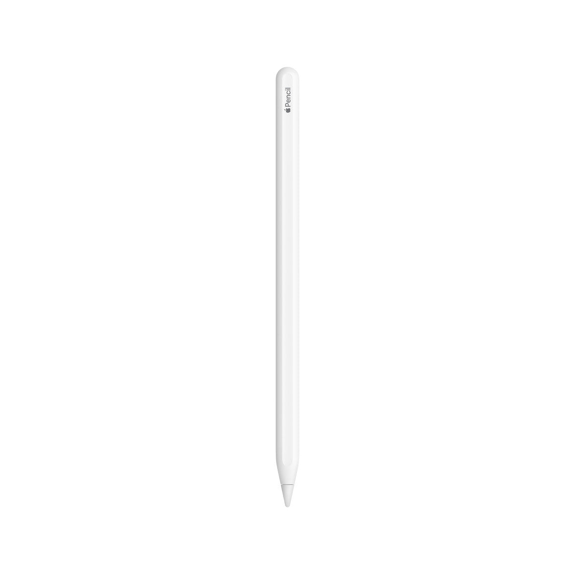 Apple Pencil (2nd Gen) price in Sri Lanka | Apple Asia