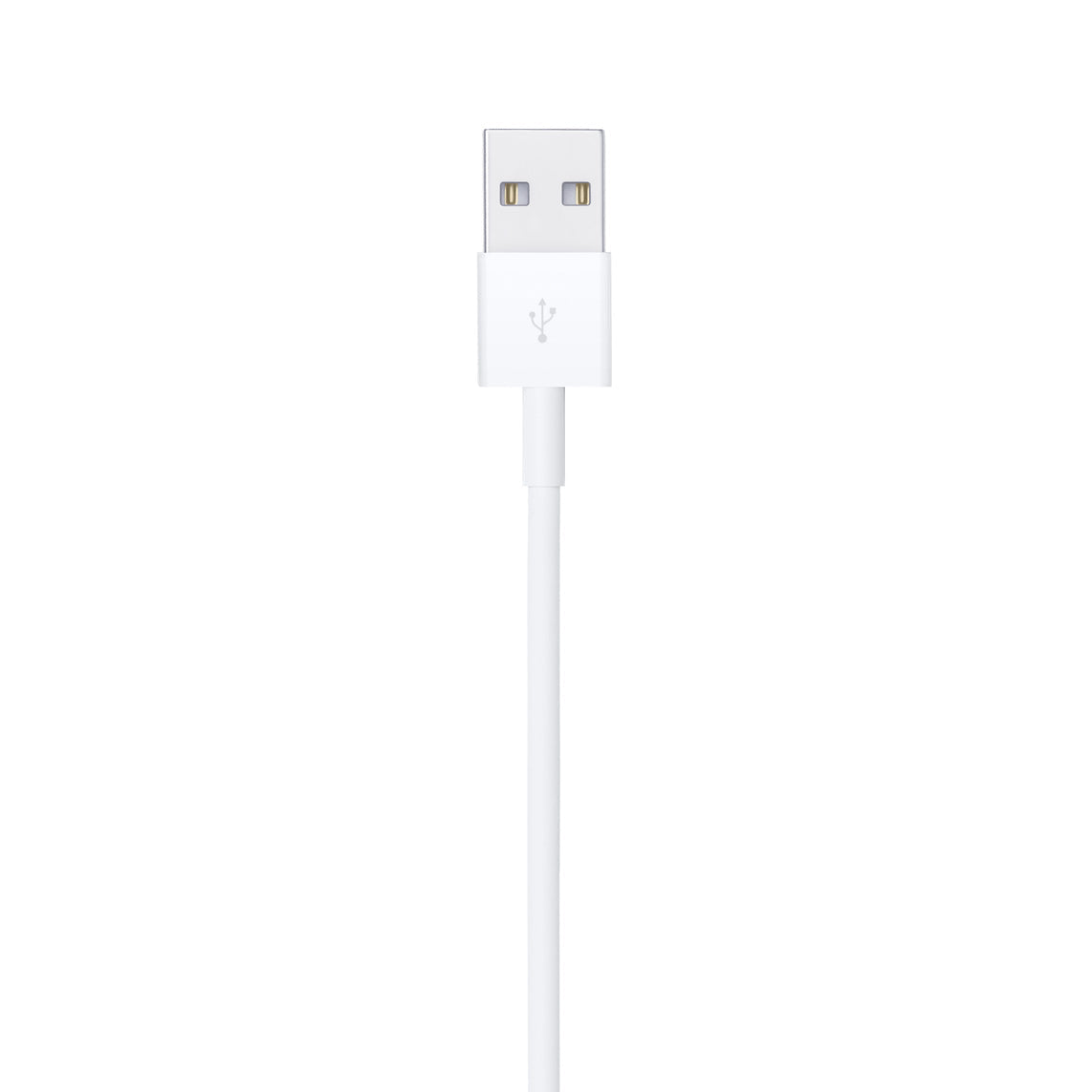 Lightning to USB Cable (1 m) price in Sri Lanka | Apple Asia